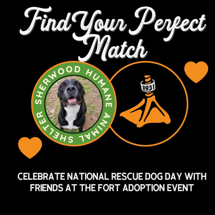 Find Your Perfect Match: Celebrate National Rescue Dog Day with Friends at The Fort Adoption Event