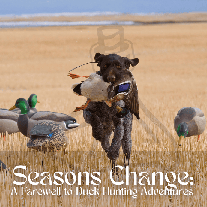 Seasons Change: A Farewell to Duck Hunting Adventures