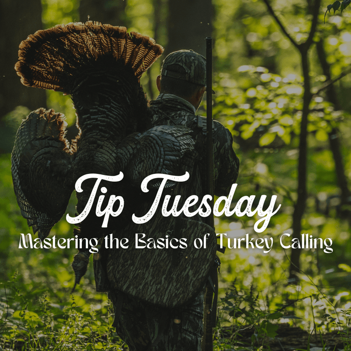 Tip Tuesday: Mastering the Basics of Turkey Calling