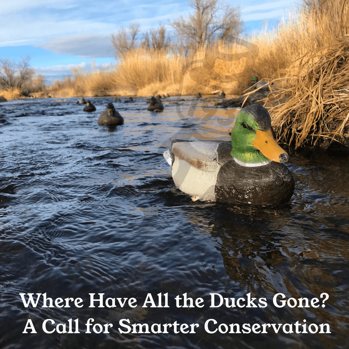 Where Have All the Ducks Gone? A Call for Smarter Conservation