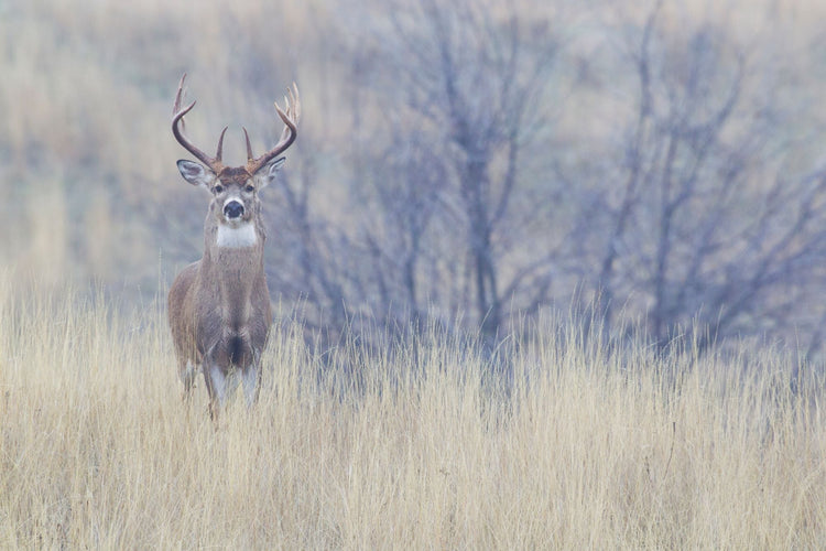 Best Deer Hunting Gear for Beginners and Pros - Fort Thompson