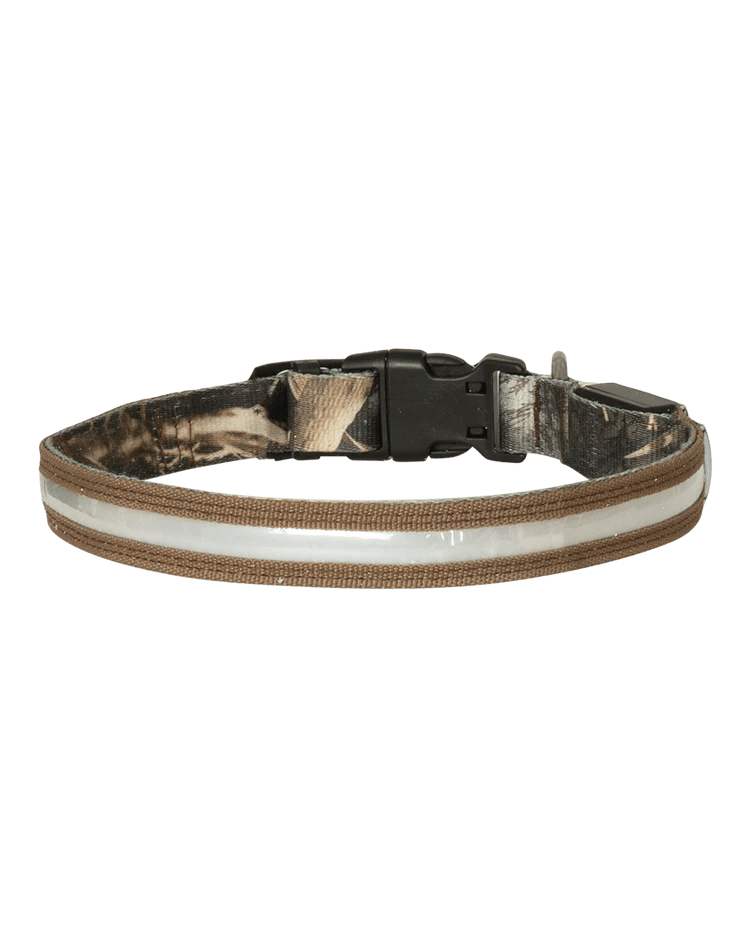 Load image into Gallery viewer, Avery Lighted Dog Collar Dog Gear- Fort Thompson
