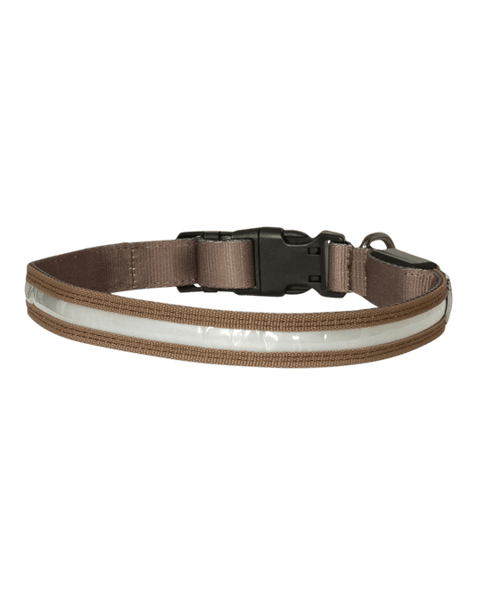 Avery Lighted Dog Collar Dog Gear- Fort Thompson