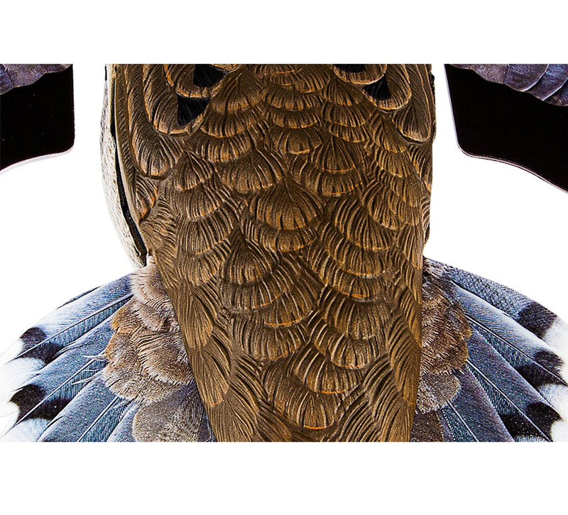 Load image into Gallery viewer, Avian X Powerflight Dove Dove Decoys - Fort Thompson
