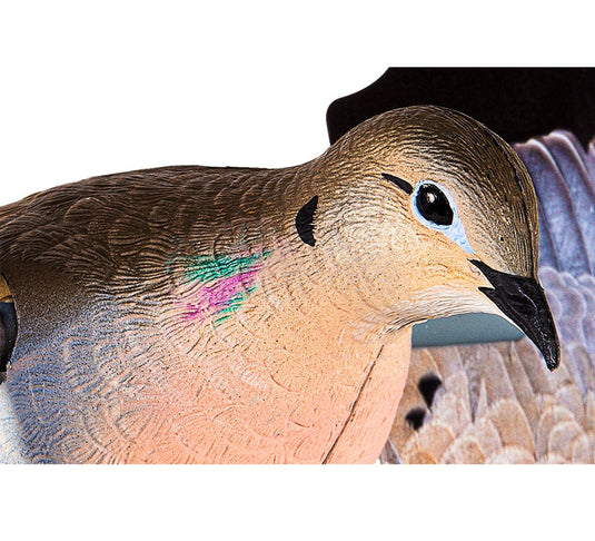 Avian X Powerflight Dove Dove Decoys - Fort Thompson