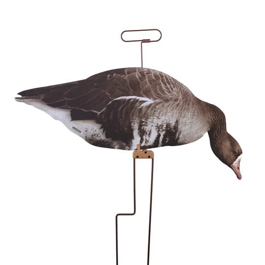 Load image into Gallery viewer, Higdon FLATS Specklebelly Goose Motion Silhouette Decoys 12 Pack Goose Decoys- Fort Thompson
