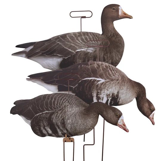 Load image into Gallery viewer, Higdon FLATS Specklebelly Goose Motion Silhouette Decoys 12 Pack Goose Decoys- Fort Thompson
