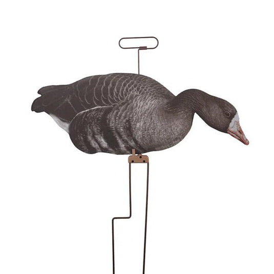 Higdon FLATS Specklebelly Goose Motion Silhouette Decoys 12 Pack Goose Decoys- Fort Thompson