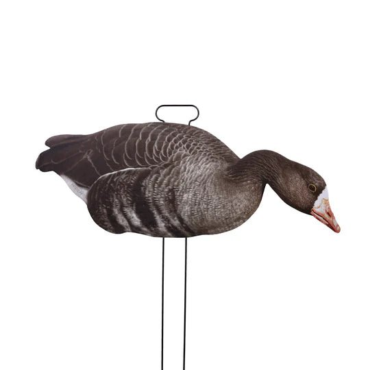 Load image into Gallery viewer, Higdon FLATS Specklebelly Goose Standard Silhouette Decoys 12 Pack Goose Decoys- Fort Thompson
