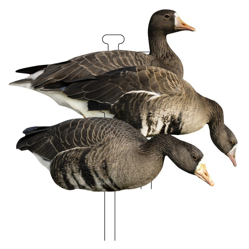 Load image into Gallery viewer, Higdon FLATS Specklebelly Goose Standard Silhouette Decoys 12 Pack Goose Decoys
